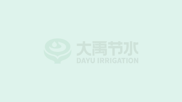 ǲˮ޹˾2022˲ЧƷ̼㼣Ч