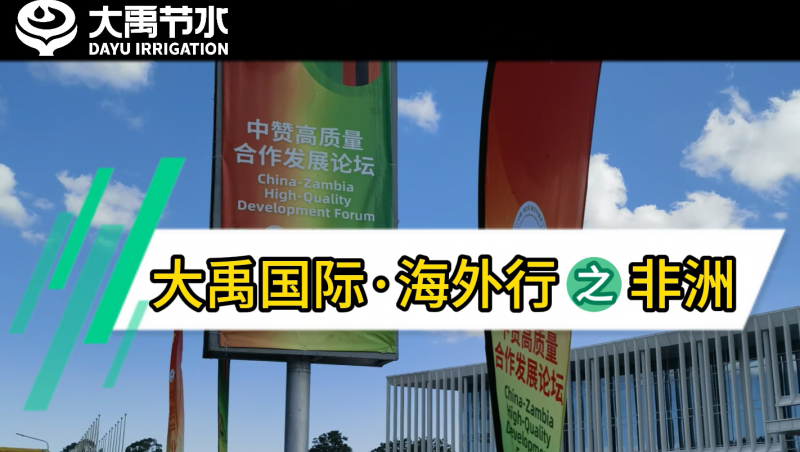 ǲʡ֮